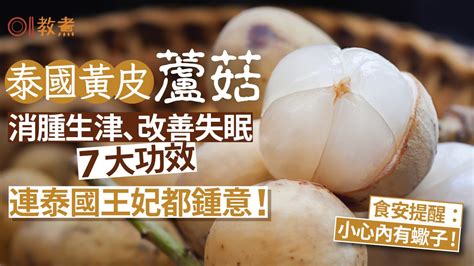 蘆茹|蘆菇